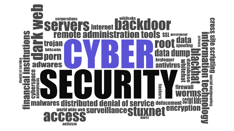 ip3141-cyberterrorism-homeland-security-cyber-security plan-800px