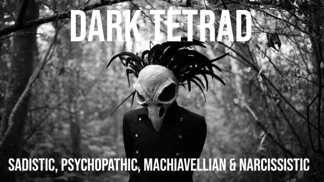 matthew-berdyck-predatory-troll-dark-tetrad