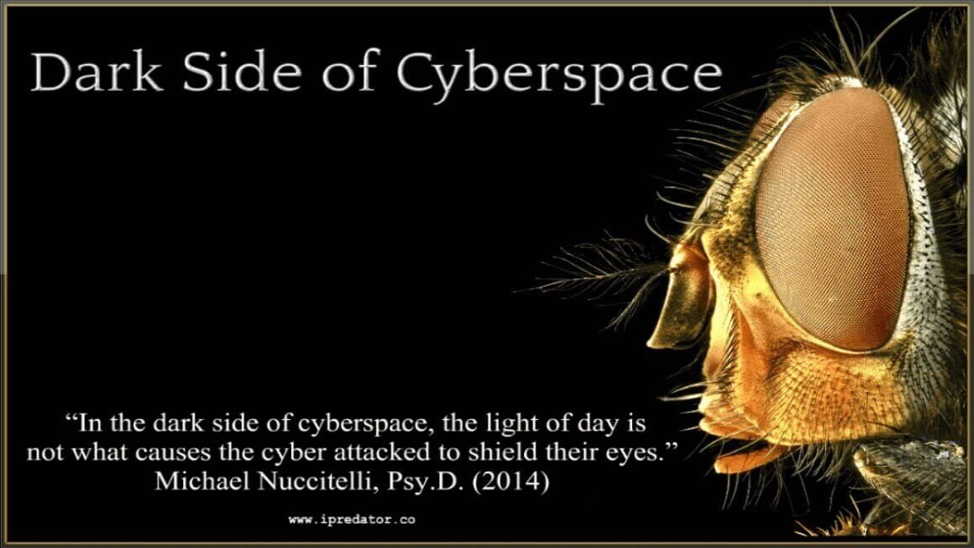 michael-nuccitelli-dark-side-of-cyberspace-ipredator-14