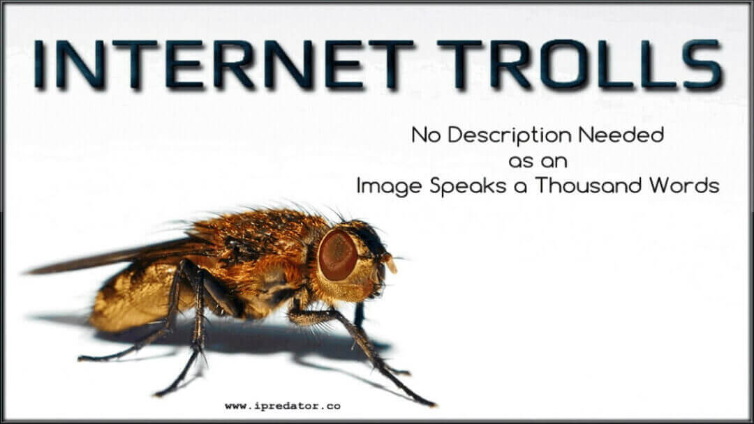 michael-nuccitelli-internet-troll-image-10
